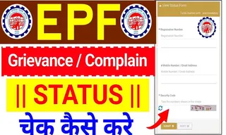 EPFO Grievance Status: Complaint Tracking में बड़ा Update, 24 घंटे वाले दावे की पूरी सच्चाई