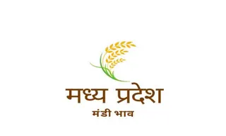 मध्य प्रदेश मंडी भाव आज 26 अगस्त 2026: जौ, लहसुन, कपास, प्याज समेत ताजा भाव देखें