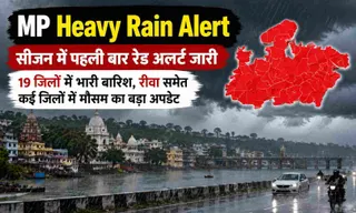 MP Heavy Rain Alert: सीजन में पहली बार रेड अलर्ट जारी; 19 जिलों में भारी बारिश, रीवा समेत कई जिलों में मौसम का बड़ा अपडेट