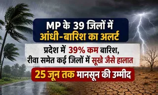 MP के 39 जिलों में आंधी-बारिश का अलर्ट: प्रदेश में 39% कम बारिश, रीवा समेत कई जिलों में सूखे जैसे हालात; 25 जून तक मानसून की उम्मीद