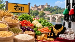 रीवा बाजार भाव: 23 अक्टूबर को अनाज, सब्जी, सोना-चांदी और पेट्रोल-डीजल के रेट