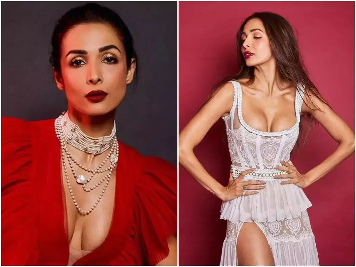 Malaika Arora ने की बेशर्मी वाली बात, जिसे सुन आप रह जाएंगे दंग..