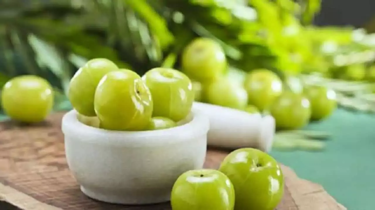 Gooseberry benefits Many properties are hidden in amla beneficial for sugar patients too