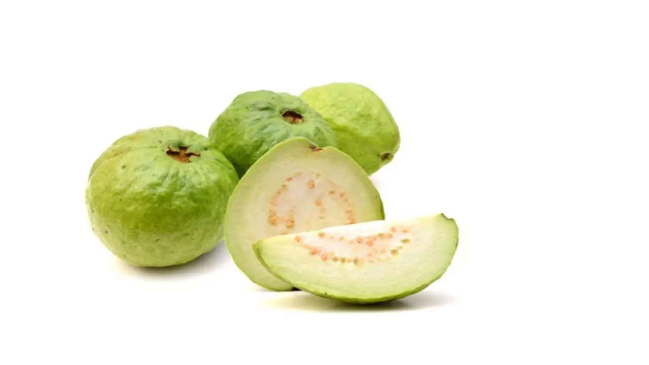 BHAJANLAL GREENERY Guava Plant Price in India - Buy BHAJANLAL GREENERY  Guava Plant online at Flipkart.com