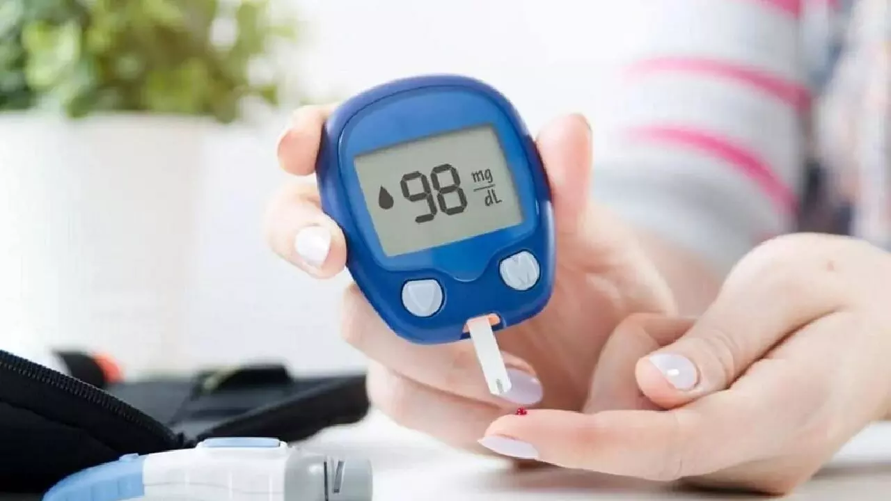 Diabetes Myths: डायबिटीज से जुड़ी यें गलत धारणाएं कर सकतीं हैं आपकी सेहत  पर बुरा असर