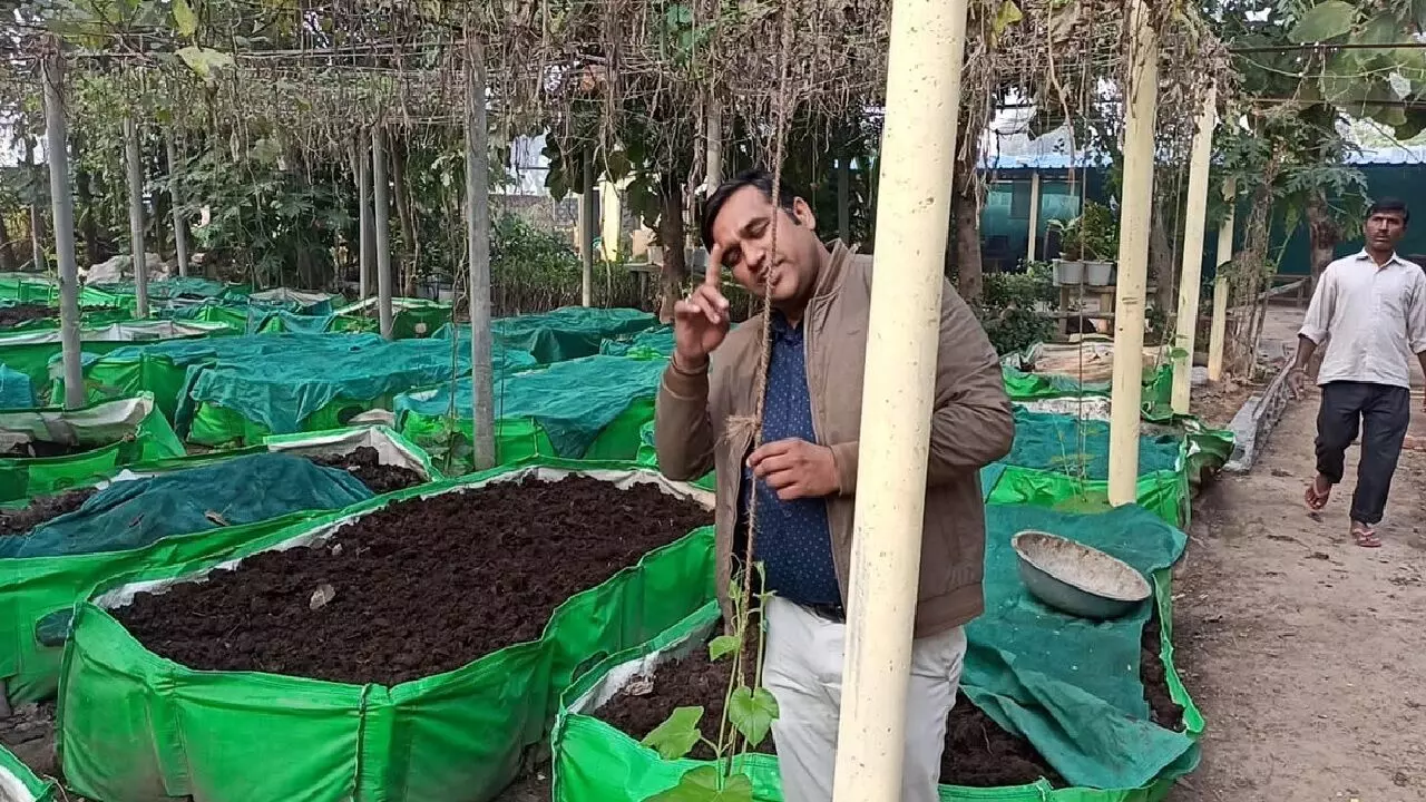 Organic Farming: लाख रूपये की नौकरी छोड़कर शुरू की यह खेती, साल भर में कमा रहे 1 करोड़ रूपये, जानिए!