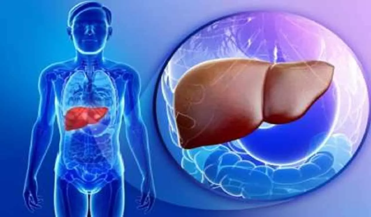 Liver Damage Symtoms