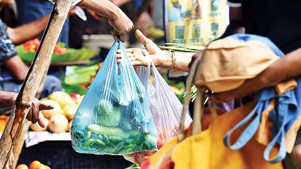 Municipal corporations campaign to make polythene free market just a show