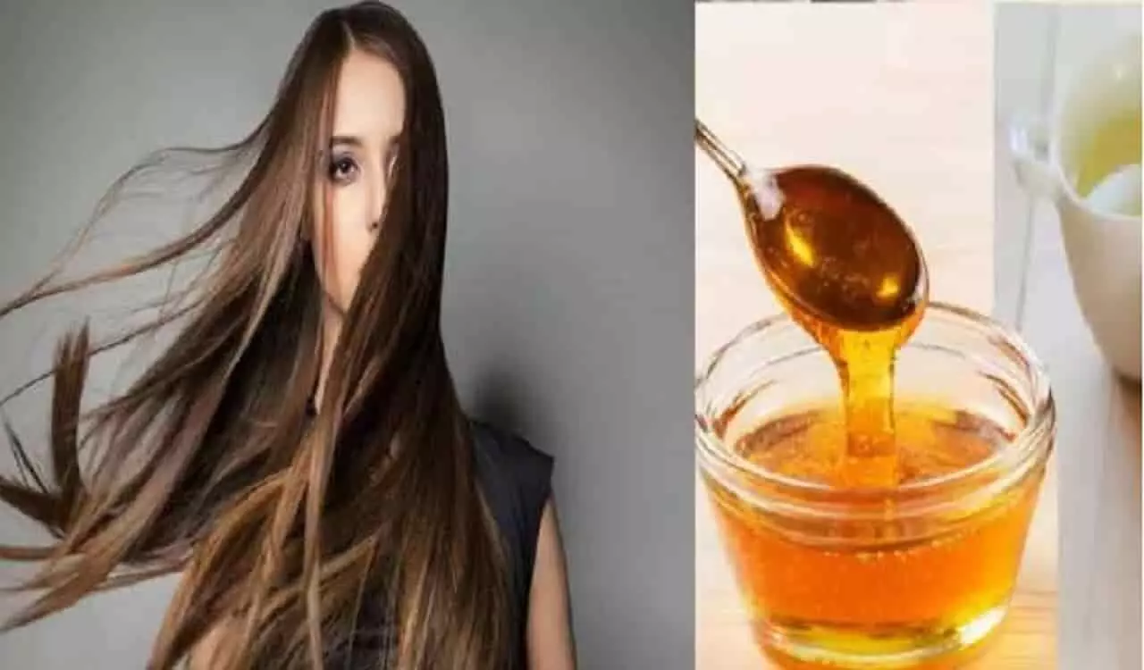 Hair Care: ये Hair mask आपके रूखे और बेजान बालों में डाल देगा नई जान