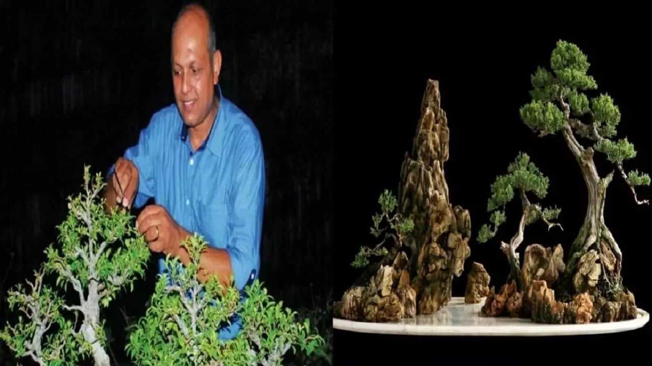 52 year old Soumik Das earns 40 lakh rupees every year from particular plant