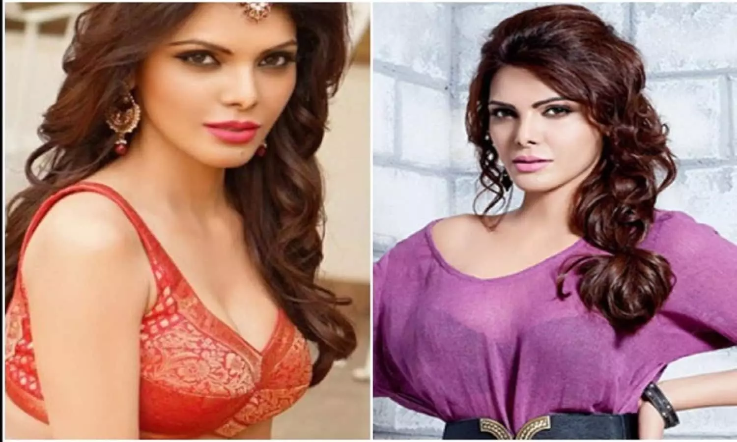 Happy Birthday Sherlyn Chopra: एक्ट्रेस शर्लिन चोपड़ा की ये 5 विवादित तस्वीरें, जिसने तहलका मचा दिया था