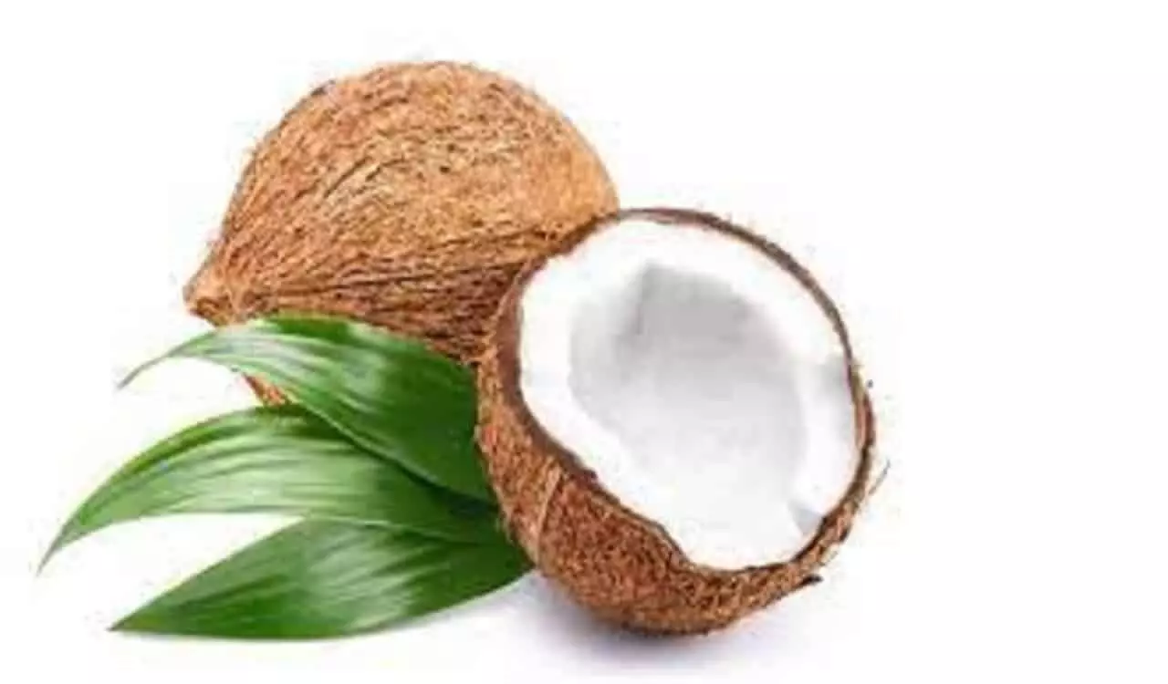 coconut peel