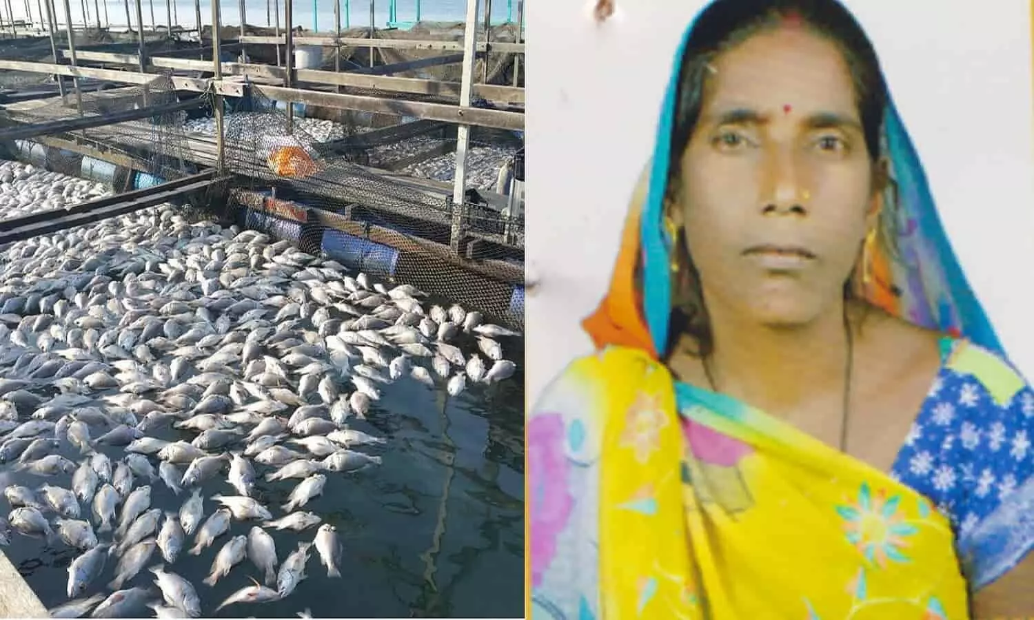 Rewas Geeta started fish farming business with 22 women now doing business of 80 lakh rupees annually