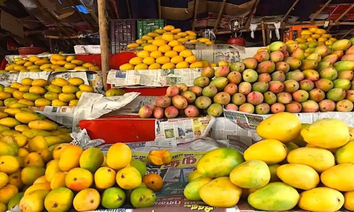 mango price hike