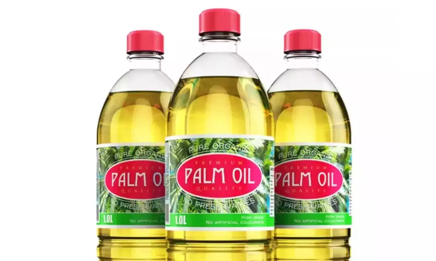 palm oil price today