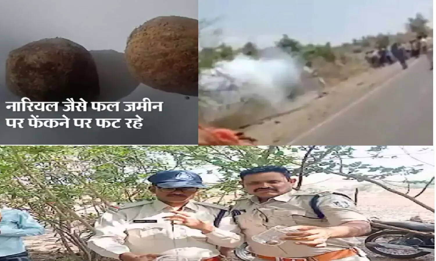 Blasting Fruit In MP: मध्य प्रदेश में मिला ब्लास्ट होने वाला फल, एक किसान के हाथ में ही फल फुट गया