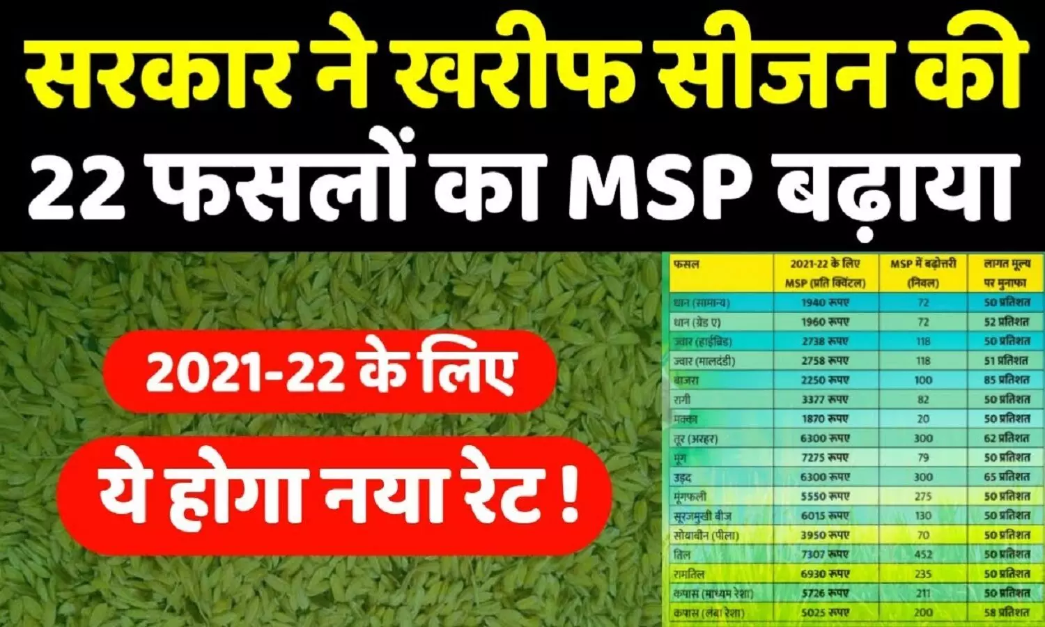 नई MSP दर: सरकार ने खरीफ की फलसों पर MSP बढ़ा दी,  अब किस फसल पर कितना मिलेगा न्यूनतम समर्थन मूल्य