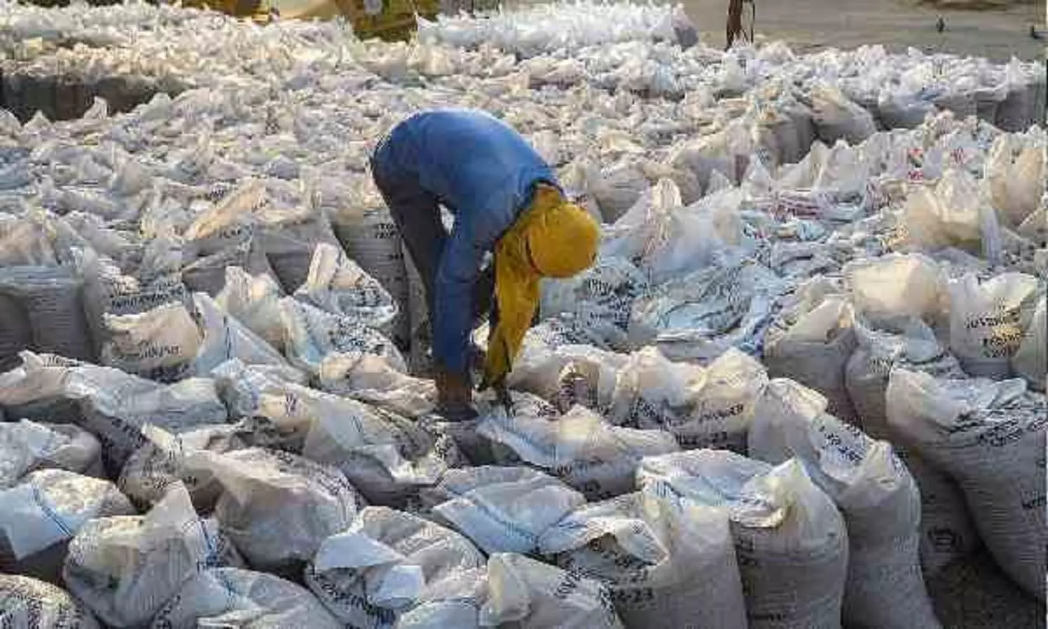 Flour Export Ban: गेहूं के बाद अब आटा के निर्यात पर नियम हुए सख्त, विदेश भेजने से पहले लेनी होगी अनुमति