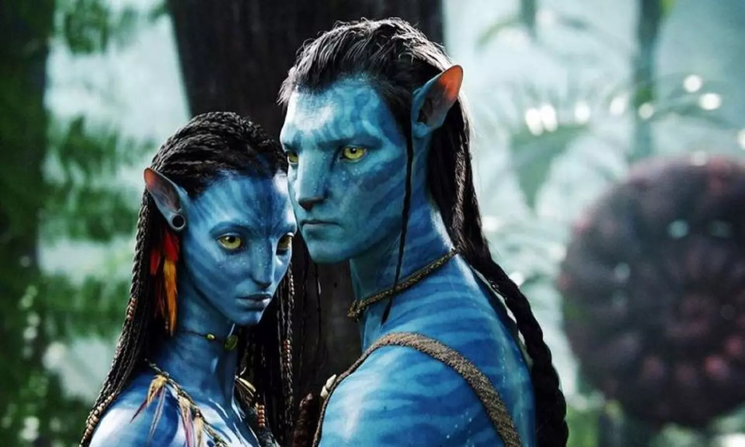 Avatar Rerelease Date: फिर से रिलीज होगी AVATAR, लेकिन क्यों?