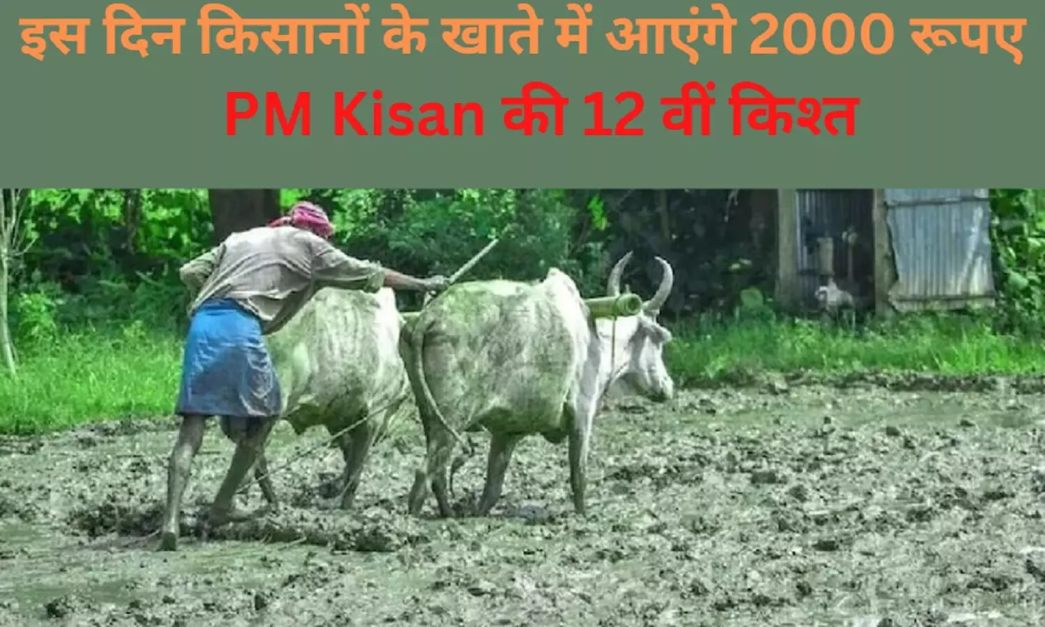 PM Kisan Samman Nidhi Yojana : देश के करोड़ों किसानों के खाते में इस दिन आएंगे 2000 रूपए