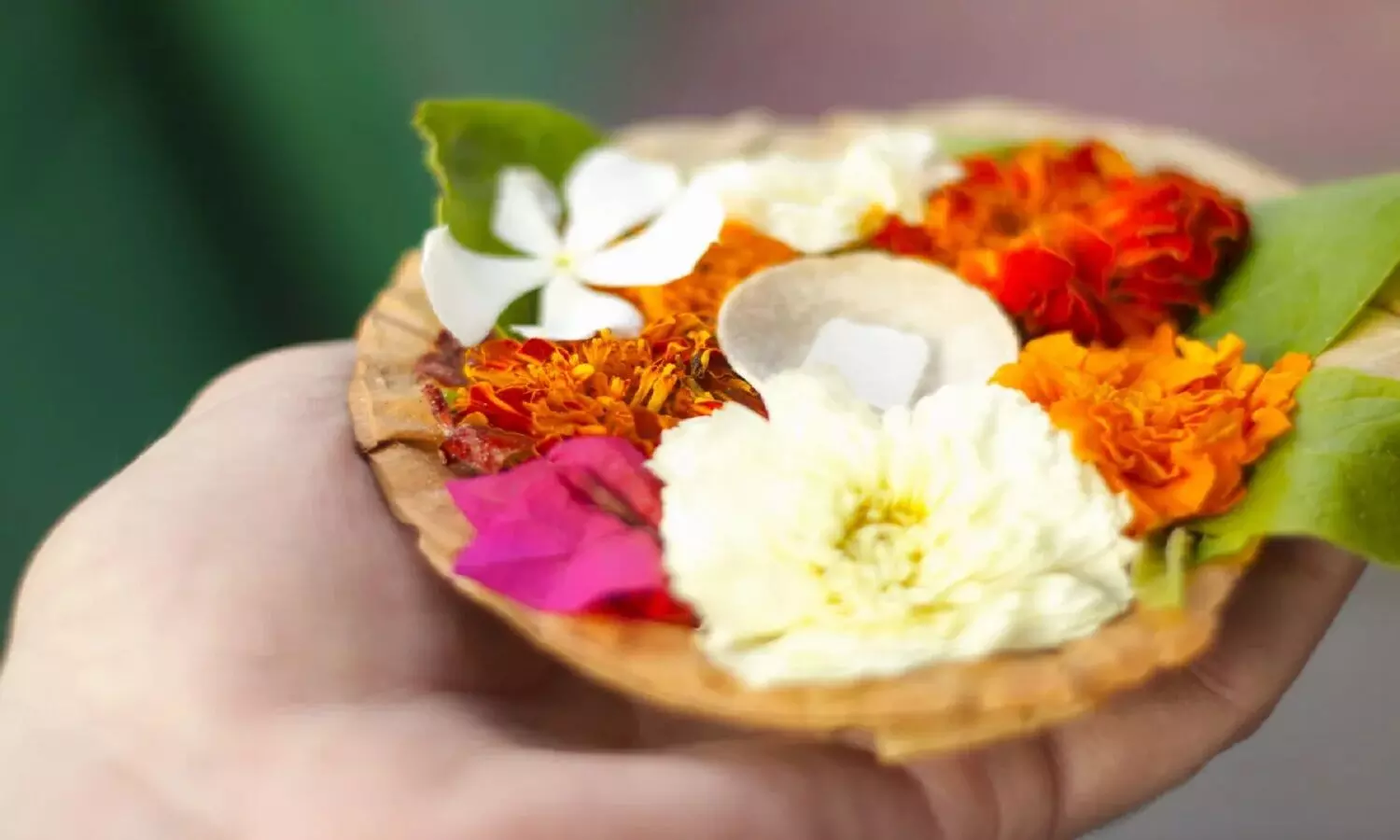 Puja Flower : देवी-देवताओं को चढ़ाएं उनकी पसंद का फूल, जानें किस देवता को कौन से पुष्प अर्पित करना चाहिए