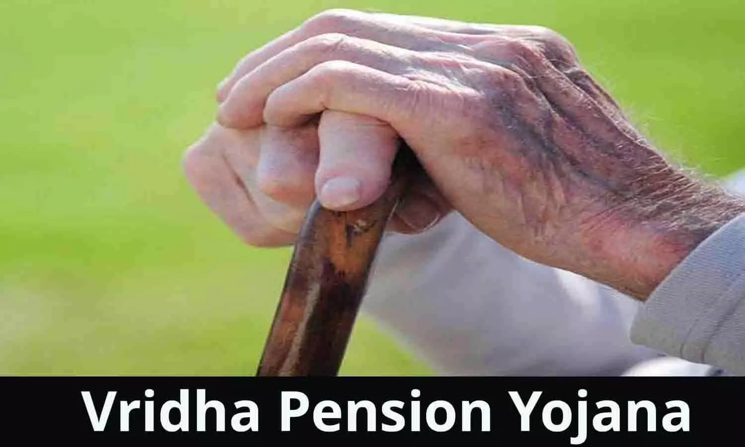 Vridha Pension Yojana