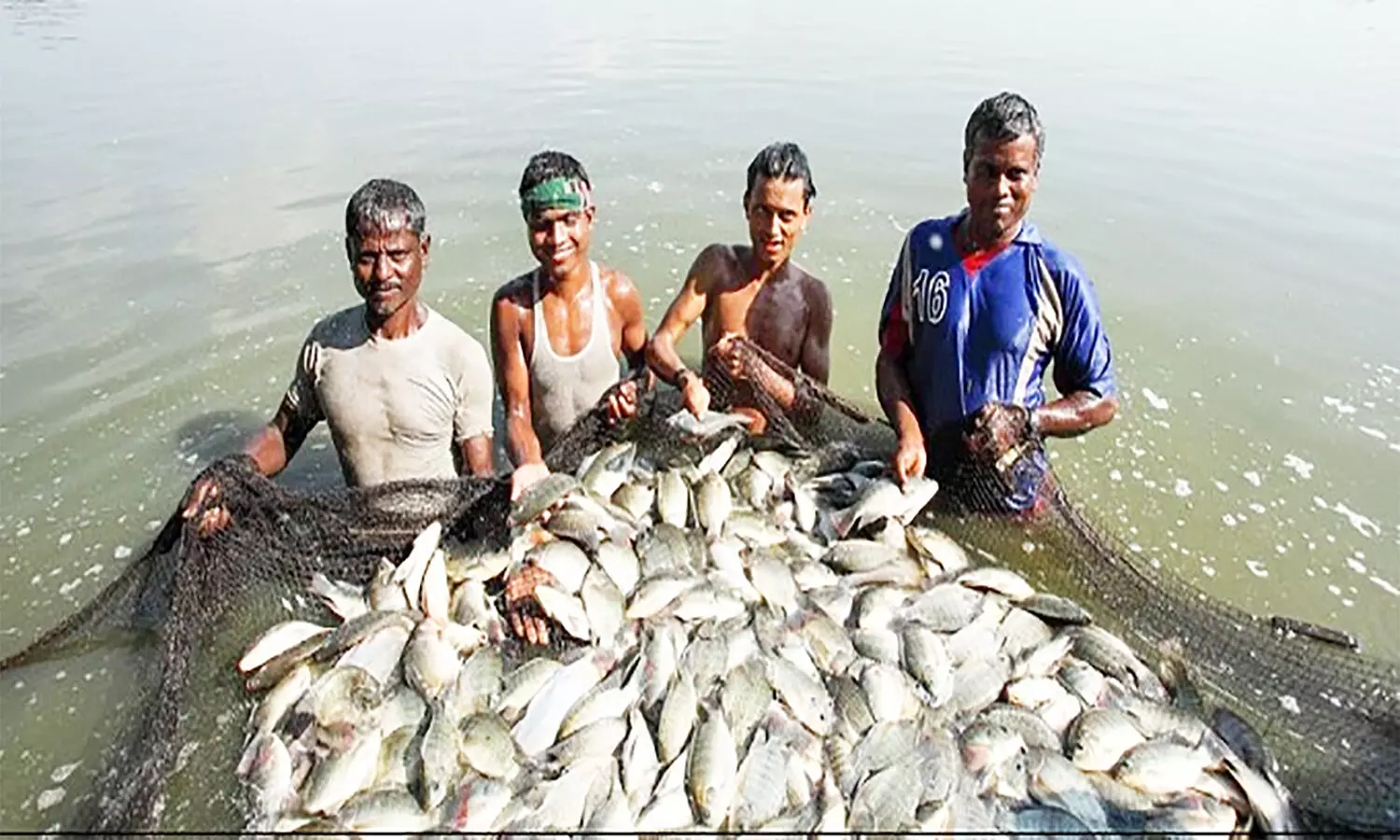 Mukhyamantri Matsya Palan Vikas Yojana: मुख्यमंत्री मत्स्य पालन विकास योजना क्या है, कैसे लें लाभ जानें पूरी प्रक्रिया