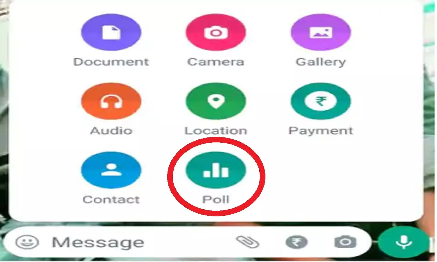 WhatsApp Poll Feature: व्हाट्सऐप का पोल फीचर क्या है, कैसे काम करता है?