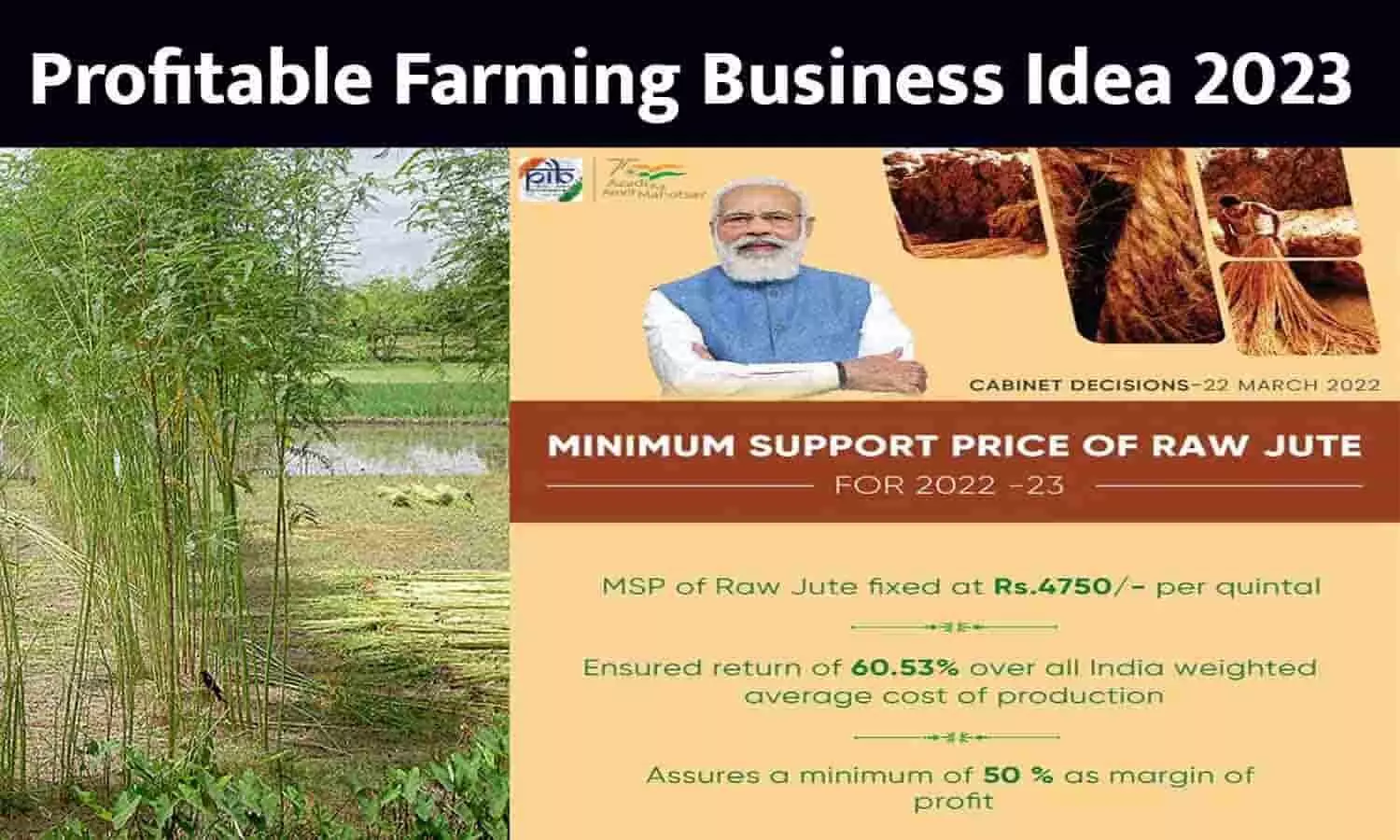 Profitable Farming Business Idea In Hindi April 2023: गेहूं-सरसों की कटाई के बाद खेत में बोएं ये फसल, कुछ महीनो में बन जाएंगे करोड़पति, सरकार ने बढ़ाई MSP