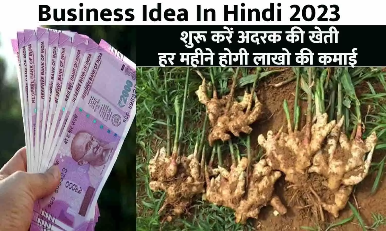 Business Idea In Hindi 2023