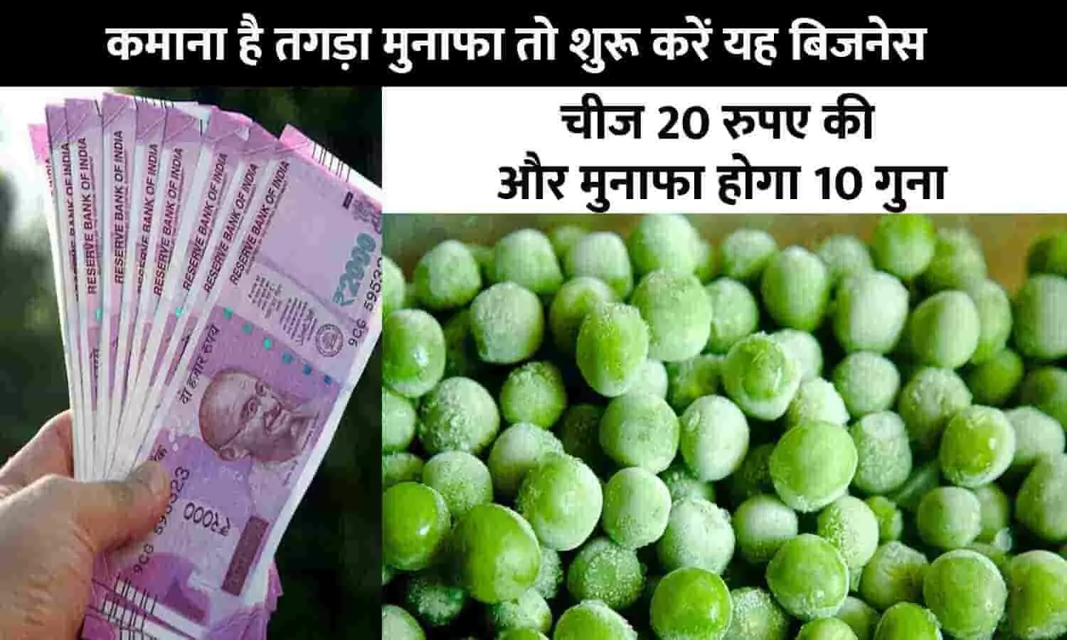 Frozen Green Peas Business In Hindi 2023: कमाना है तगड़ा मुनाफा तो शुरू करें यह बिजनेस, चीज 20 रुपए की और मुनाफा होगा 10 गुना