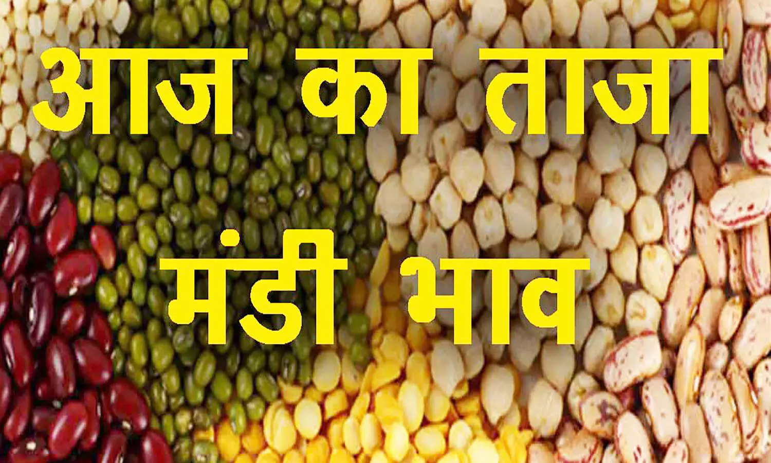 Mandi Bhav: डॉलर चना के दाम में मंदी, सोयाबीन के रेट बढ़े, यहां जानें आज का ताजा मंडी भाव