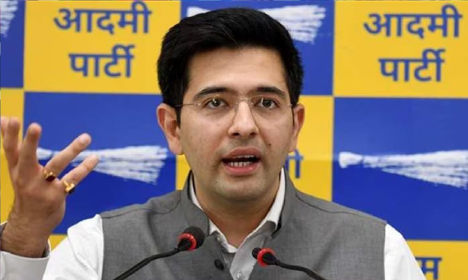 Ed Raghav Chadha