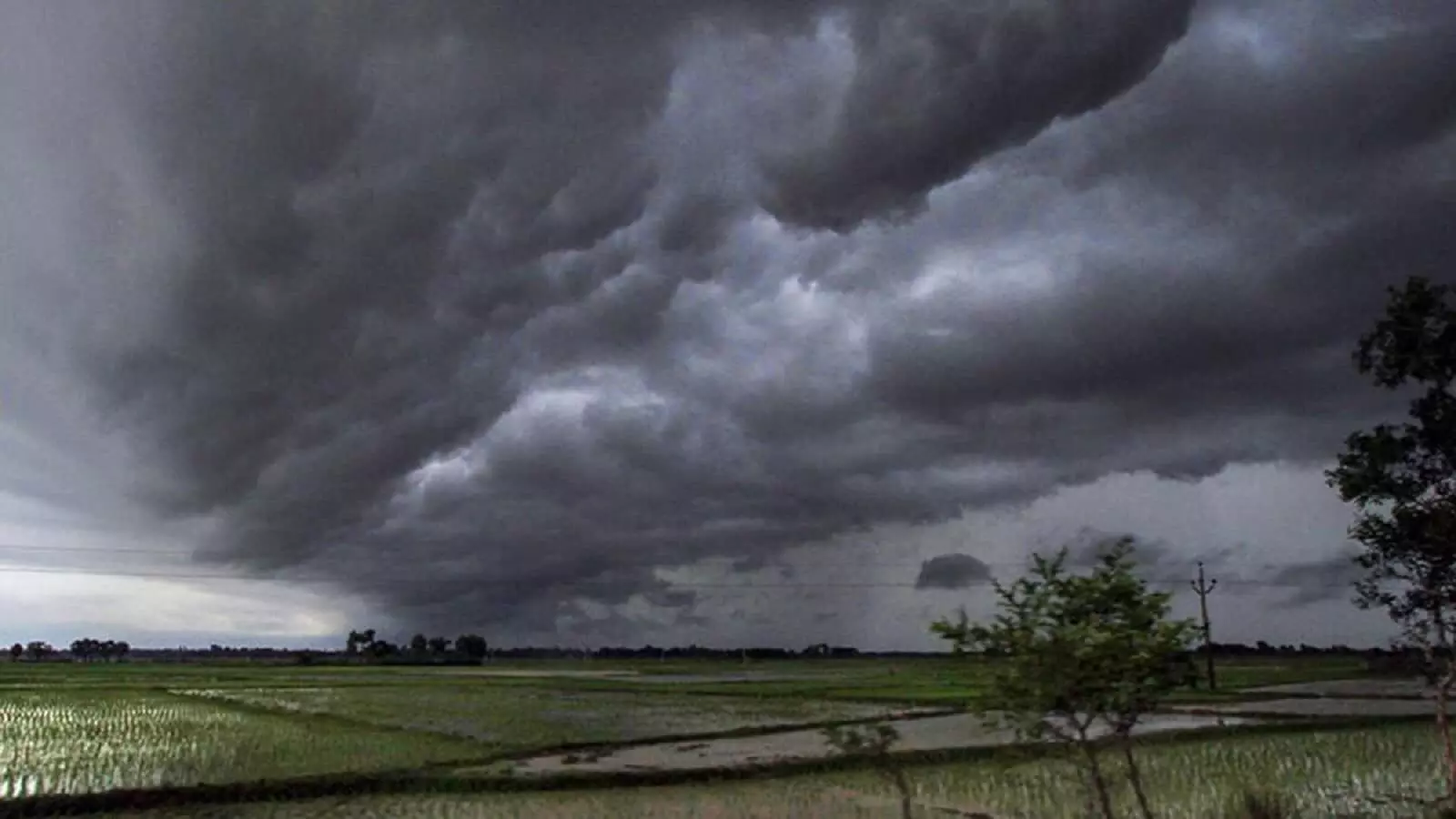 Chhattisgarh Monsoon Forecast 2023: IMD का मानसून को लेकर दी बड़ी अपडेट, फटाफट से जानें