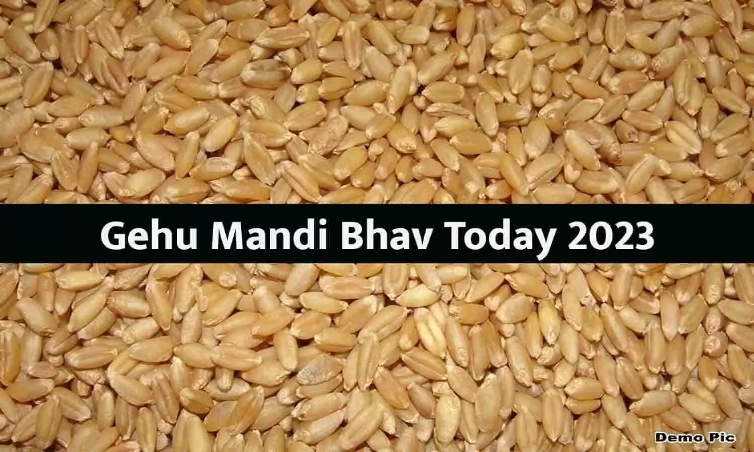 गेहूं मंडी भाव 2023: गेहूं के भाव में उछाल, किसानों के चेहरे पर आई मुस्कान, जाने क्या रहेगा गेहूं का आगे दाम