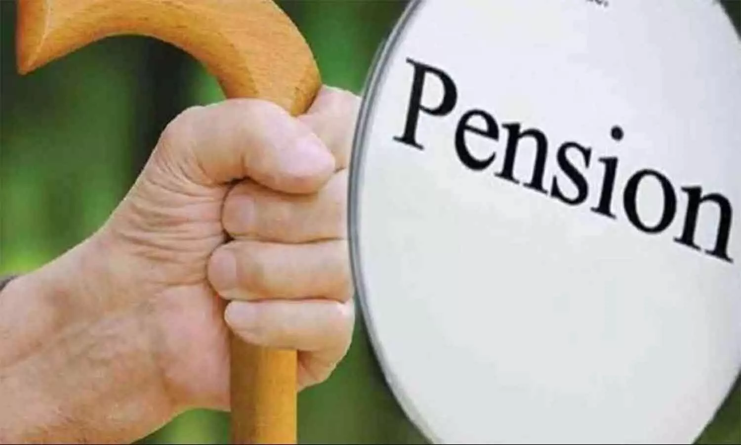 Pensioners News: पेंशनरों के लिए बड़ी खबर, 30 जून तक पूरा करना होगा यह काम वरना अटकी सकती है पेंशन, यहां पर जानें पूरी डिटेल्स