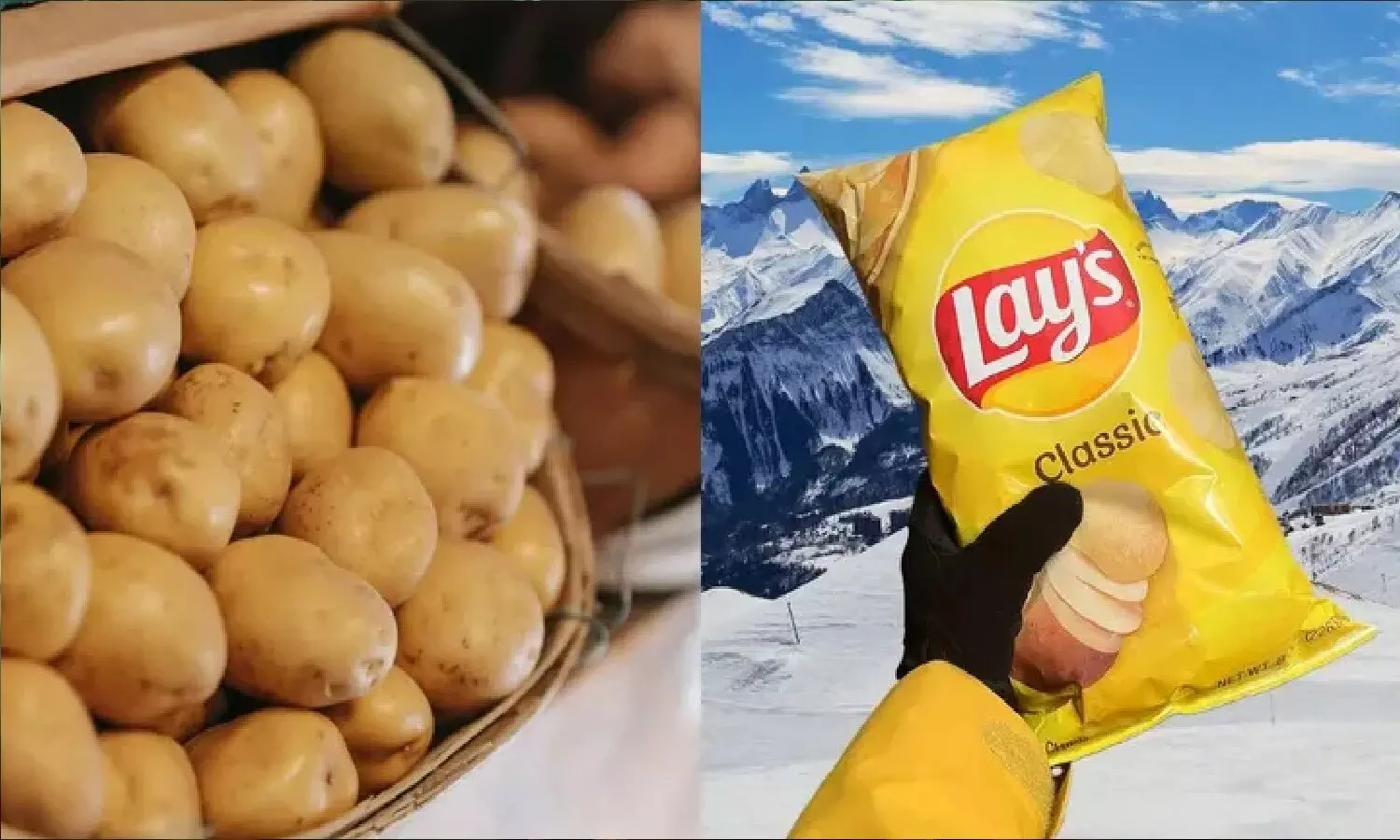 अब आप भी दे सकते हैं Lays Chips को टक्कर! FC5 Potato उगाओ और पैसा पीटो