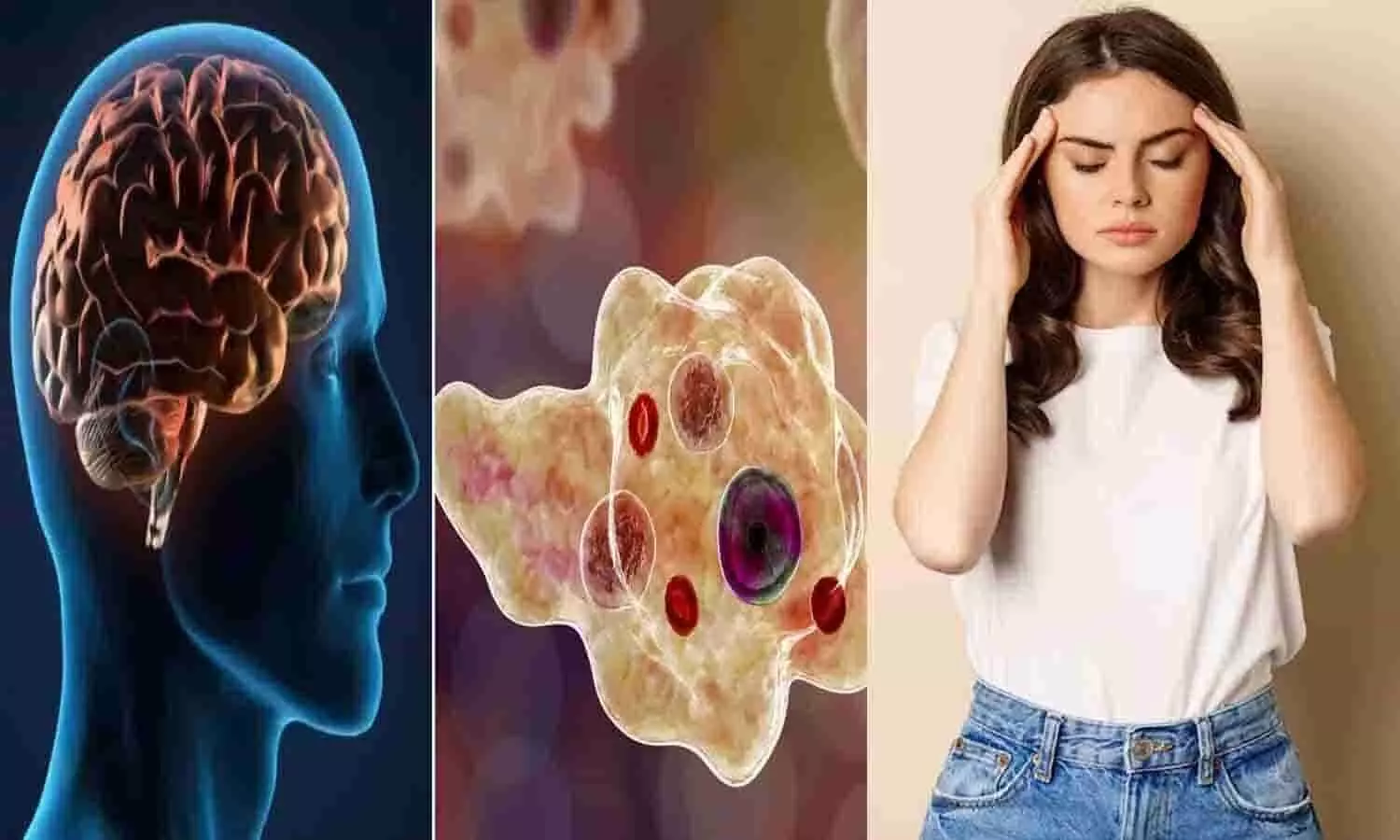 Brain Eating Amoeba: दिमाग खाने वाले अमीबा ने ली 11 लोगों की जान, आप भी भूलकर न करे ये गलती, जाने बीमारी के लक्षण