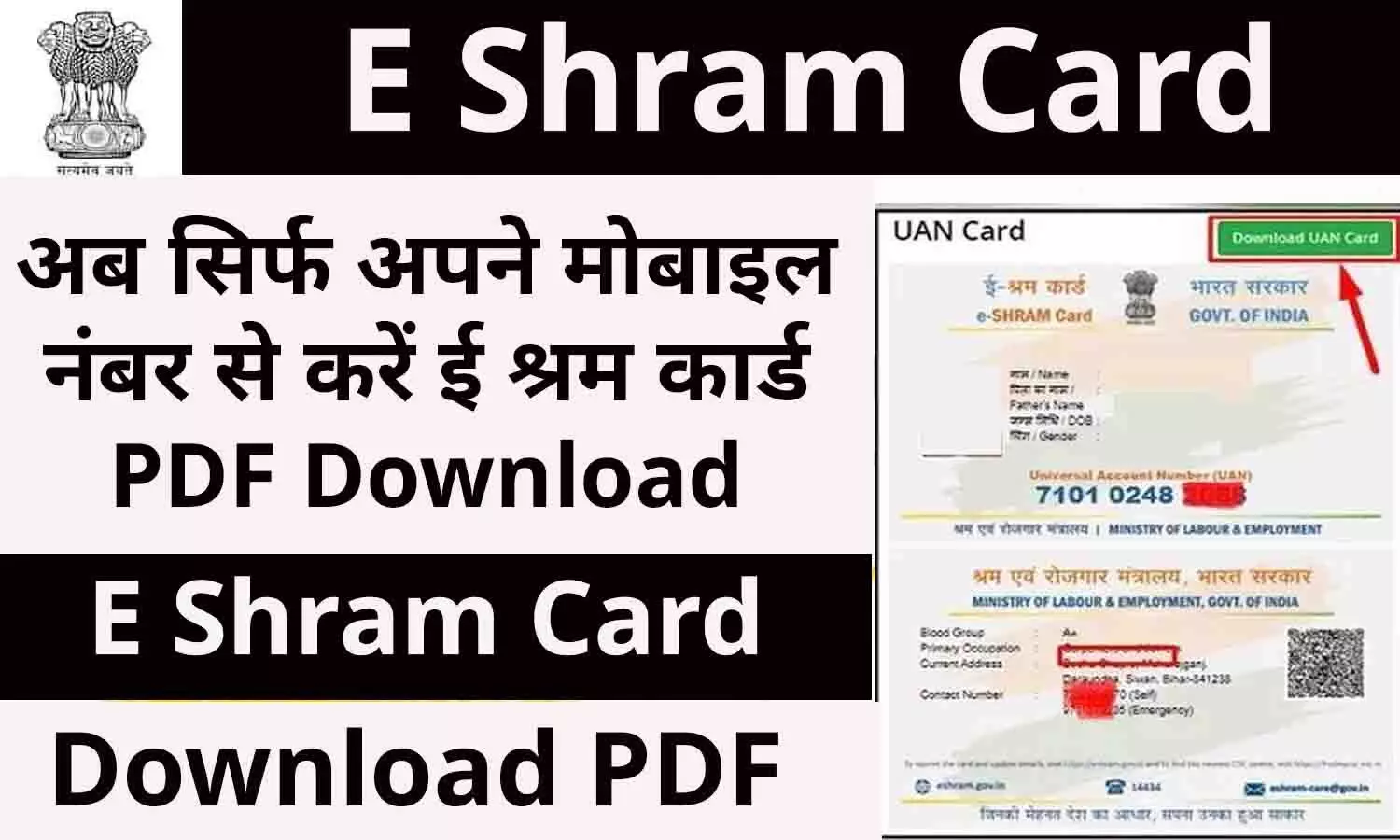 E Shram Card Download By Mobile Number: अब सिर्फ अपने मोबाइल नंबर से करें ई श्रम कार्ड PDF Download, जाने पूरी प्रक्रिया