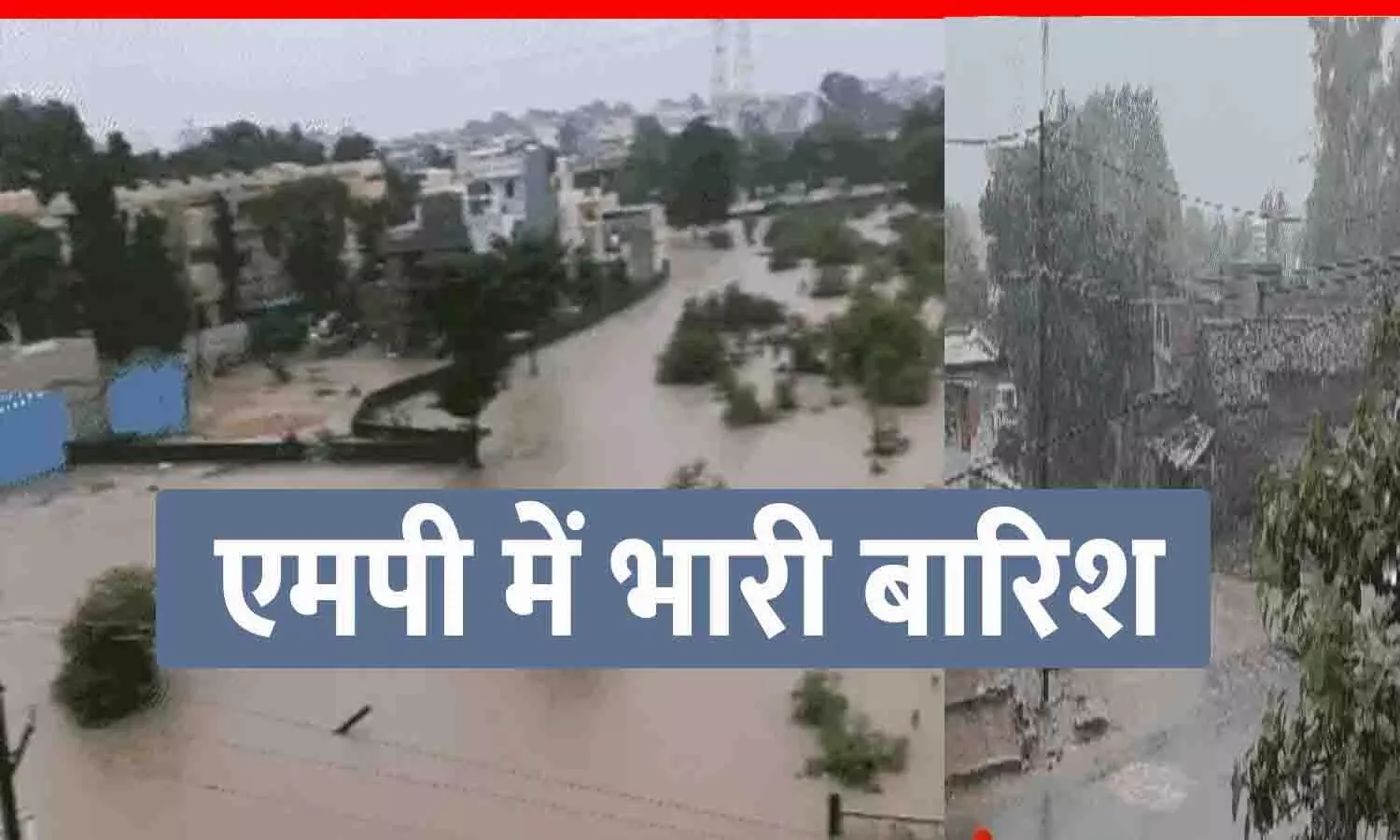 MP के 31 जिलों में भारी बारिश का अलर्ट: भोपाल-जबलपुर हाईवे बंद, नर्मदापुरम में बारिश से कई मकानों को नुकसान; 1 की मौत