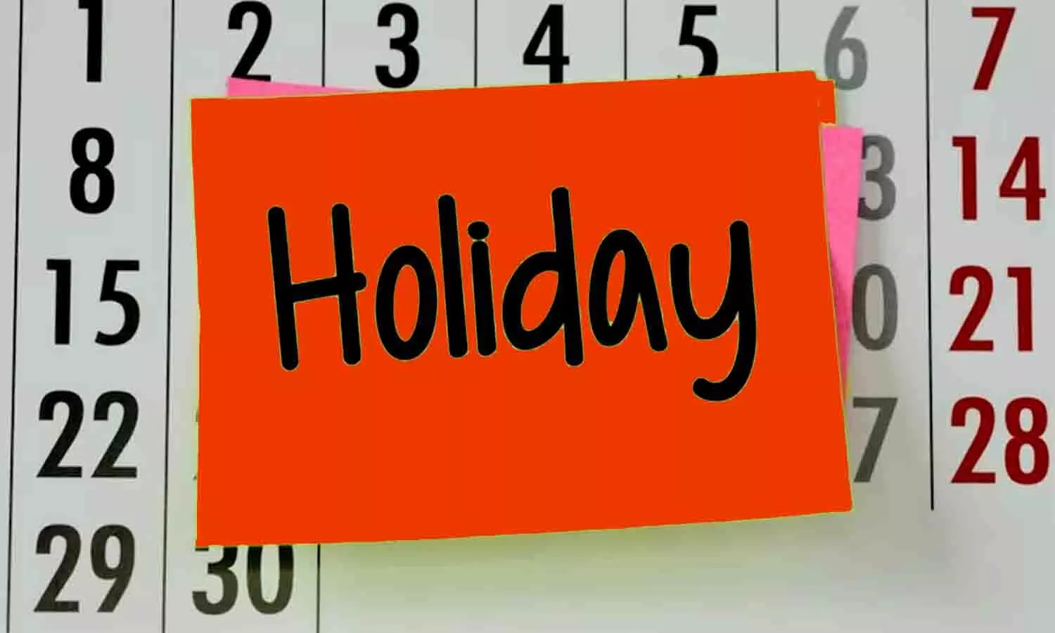 Public Holidays: बड़ी खबर! सार्वजनिक अवकाश की घोषणा, स्कूल-बैंक और ऑफिस रहेंगे बंद?