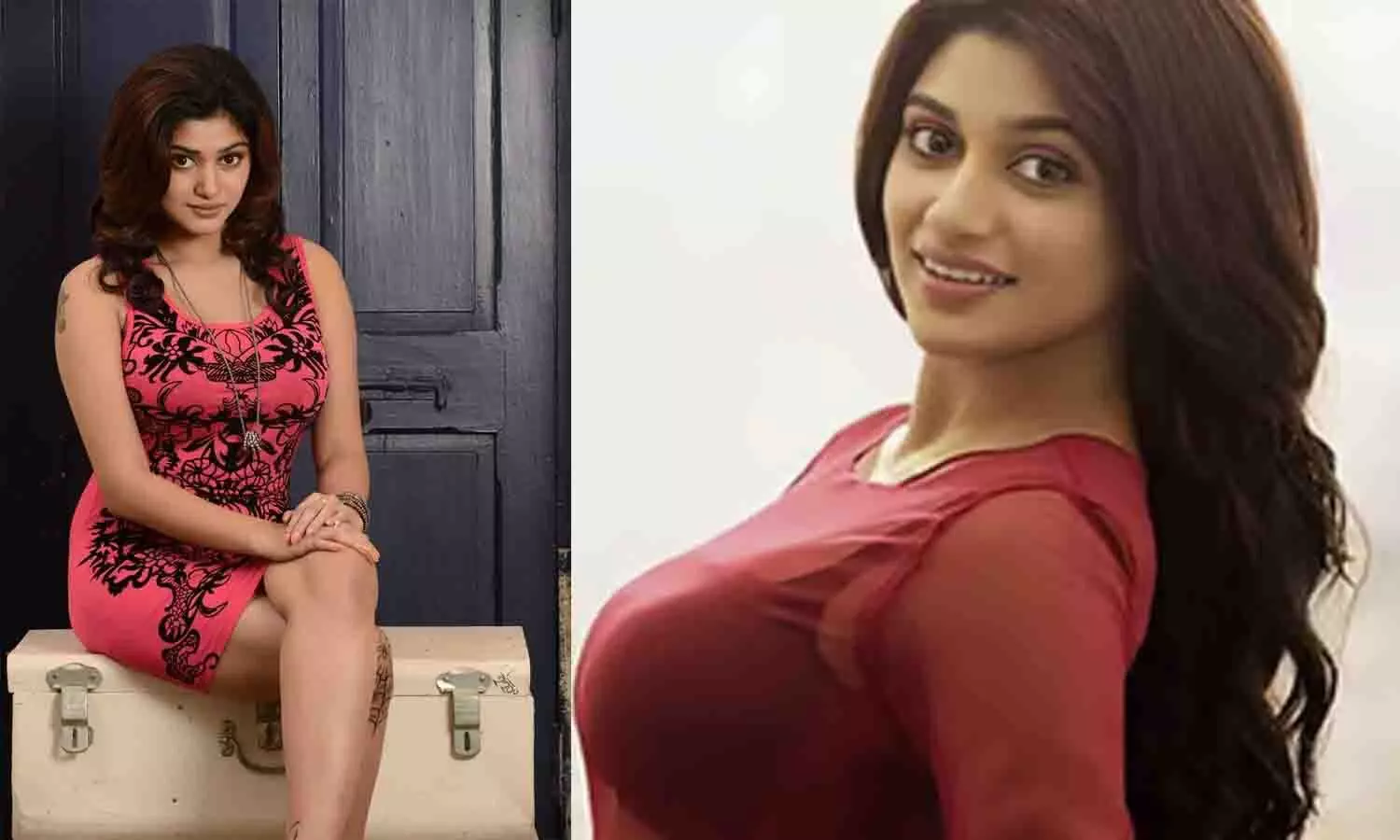 Oviya Helen Viral Video: ओविया हेलेन कौन है? जिनका निजी वीडियो वायरल हो गया.... 17 सेकेंड के इस वीडियो ने मचाई सनसनी