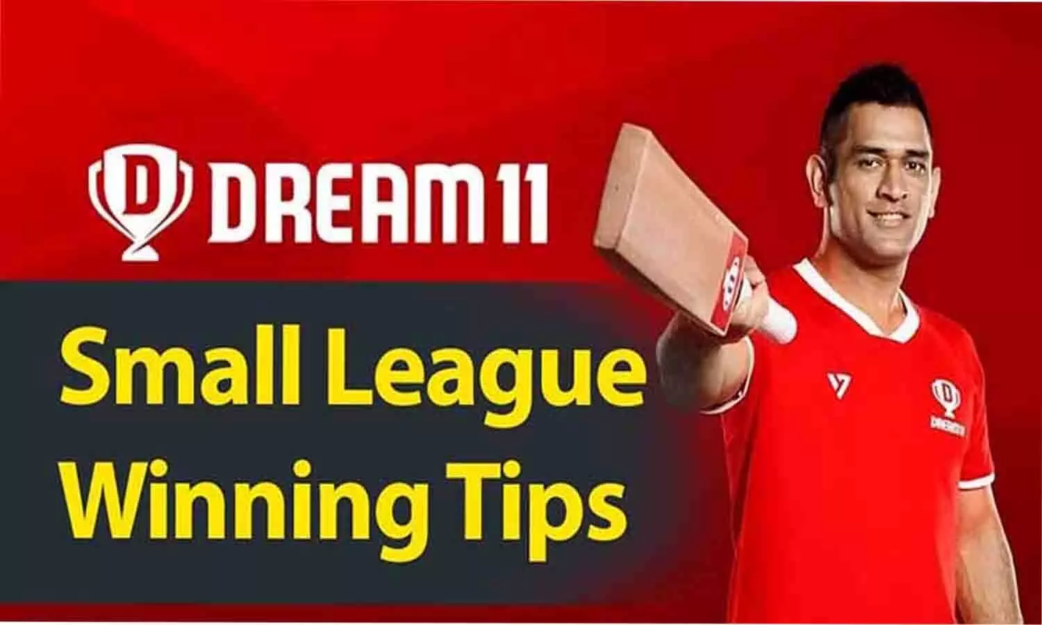 Dream 11 Small Leauge Wining Tips 2025 : ड्रीम11 में स्मॉल लीग कैसे जीते