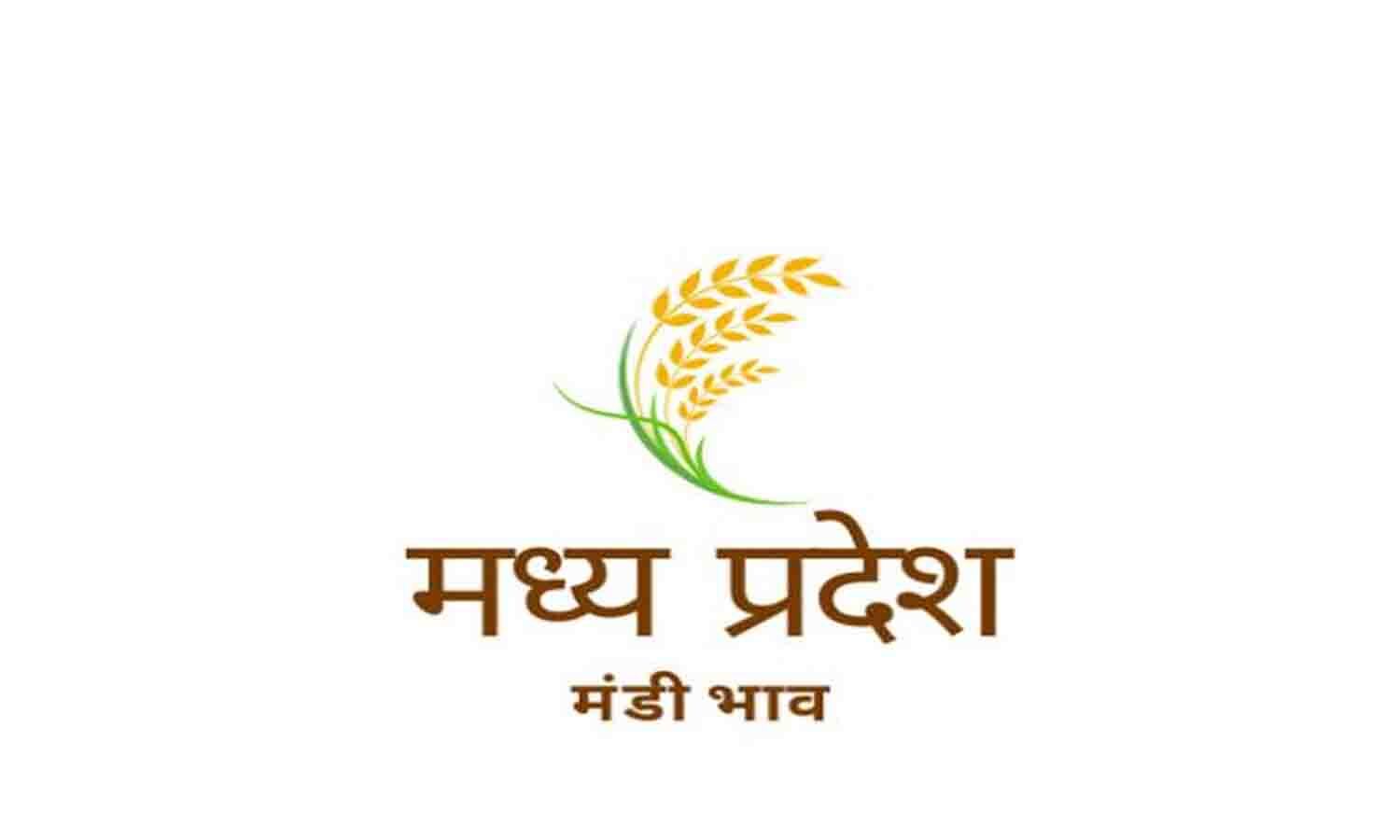 मध्य प्रदेश मंडी भाव आज 26 अगस्त 2026: जौ, लहसुन, कपास, प्याज समेत ताजा भाव देखें