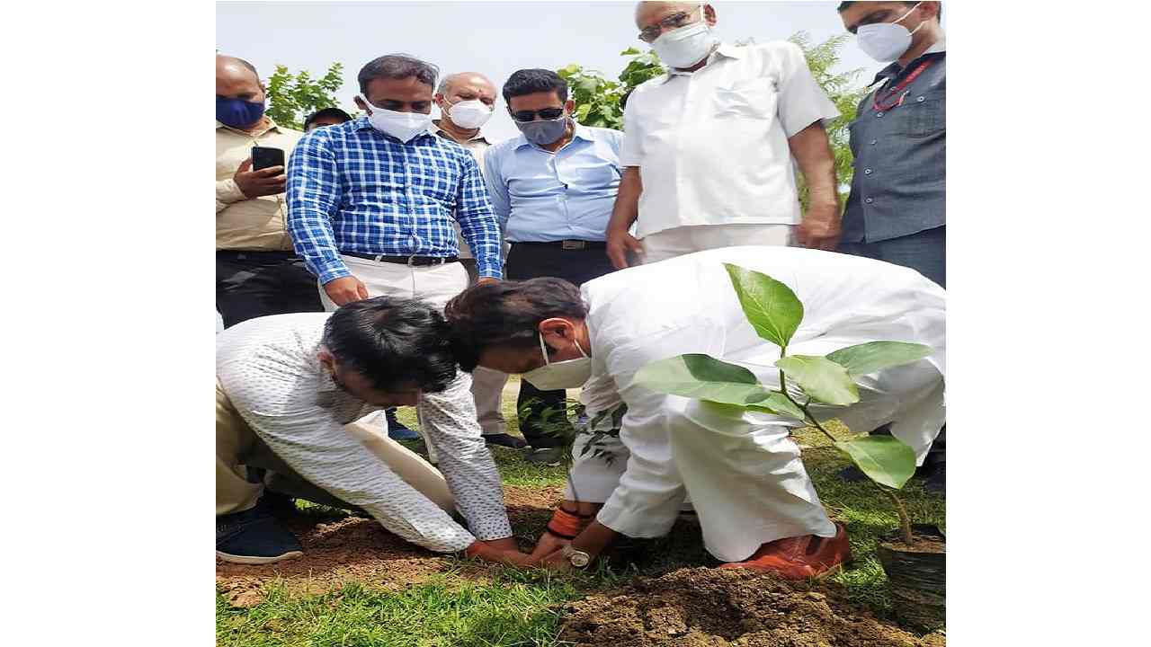 ग्रीन रीवा अभियान : प्रदूषण रोकने पौधारोपण ही एक मात्र विकल्प, पूर्व मंत्री ने रेलवे परिसर में रोपे पौधे