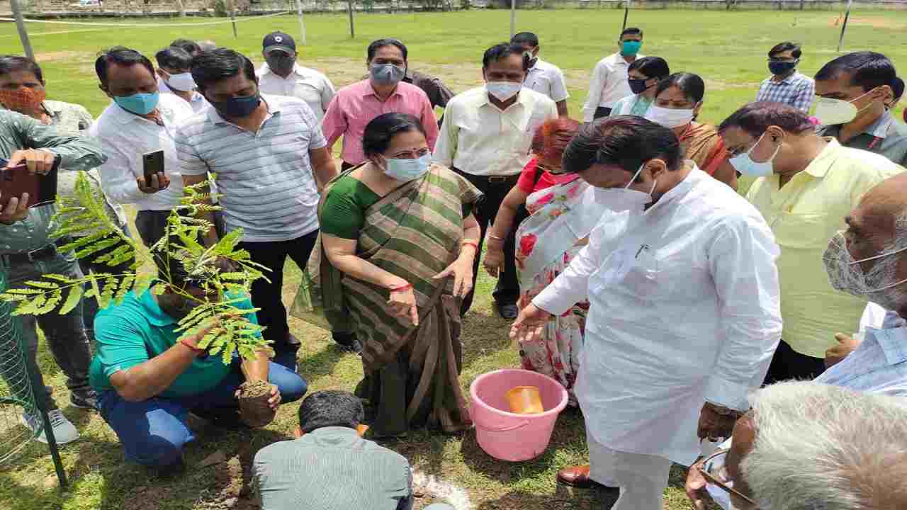 रीवा को हरा-भरा बनाने उठाया गया एक कदम, रोपे गये पौधे, मूल्यांकन के बाद कालेजों को मिलेगी ईनामी राशि